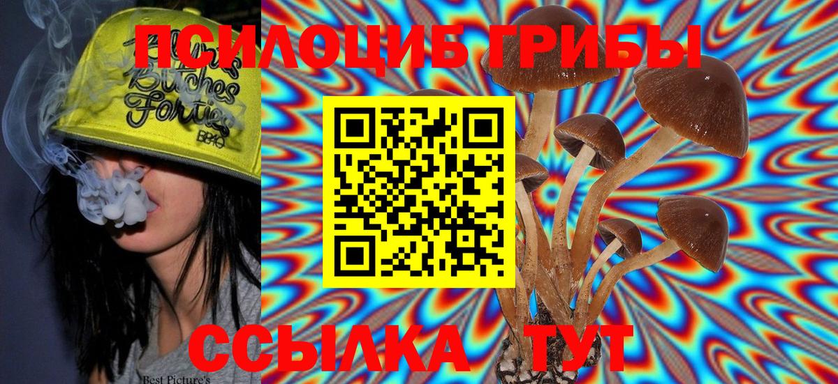 Городец  Галлюциногенные грибы Magic Shrooms  Псилоцибиновые грибы GOLDEN TEACHER  Вход с VPN 